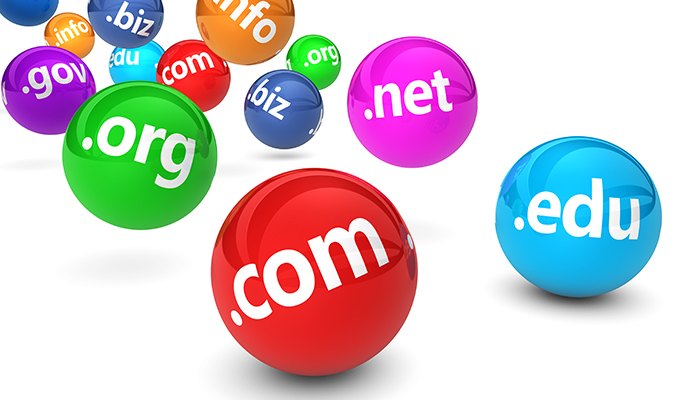 Lesson 6 メンズエステの運営に欠かせない「ドメイン」とは?基礎から移管・管理までを正しく理解する